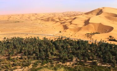 Taghit Algeria