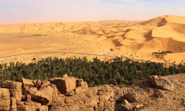 Taghit Algeria
