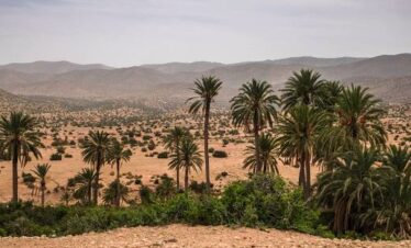 Oued Souf Central Sahara