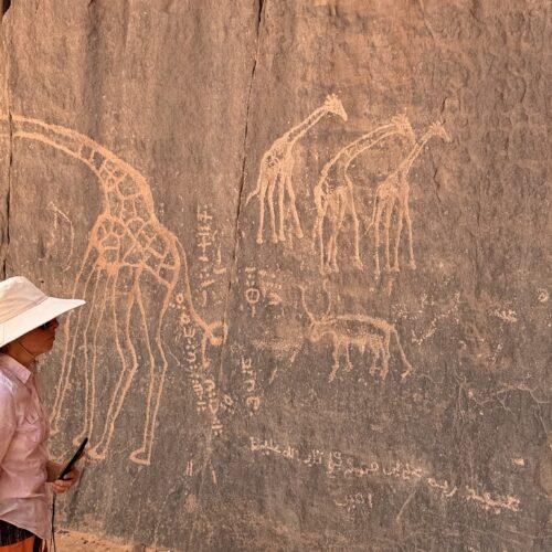Private Djanet Algeria Tour in Tassili n’Ajjer National Park