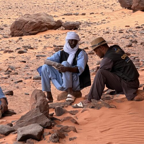 Oryx Touareg guides in Djanet Algeria