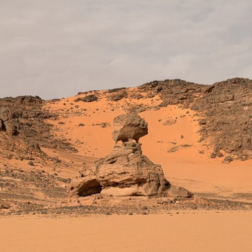 Private Djanet Algeria Tour in Tassili n’Ajjer National Park