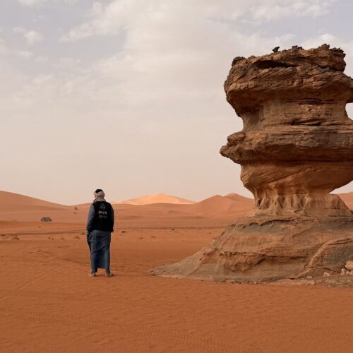 Private Djanet Algeria Tour in Tassili n’Ajjer National Park