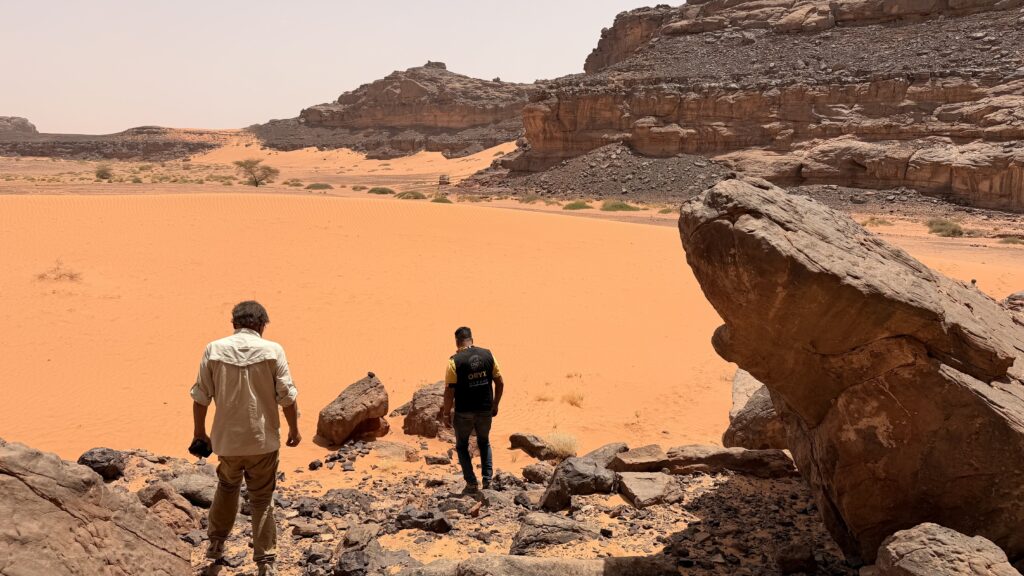 Private Djanet Algeria Tour in Tassili n’Ajjer National Park