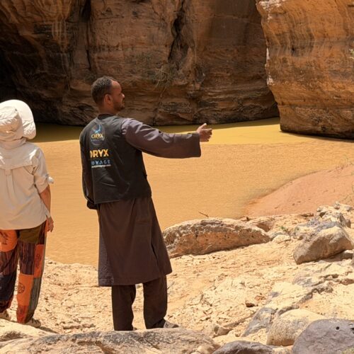 Oryx Touareg guides in Djanet Algeria