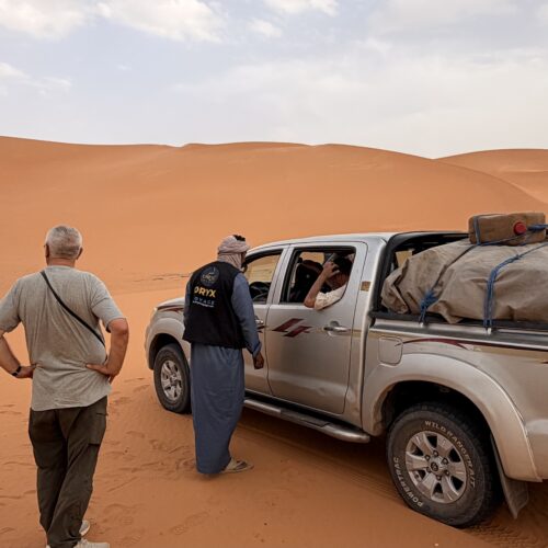 Oryx Touareg guides in Djanet Algeria
