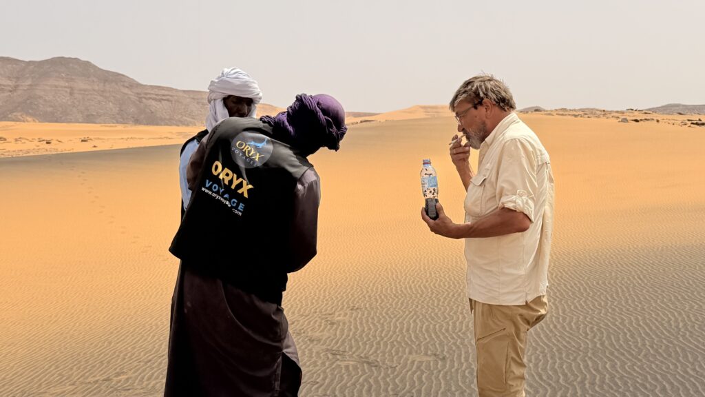 Golden dunes at Oued Adjelati in the Algerian Sahara