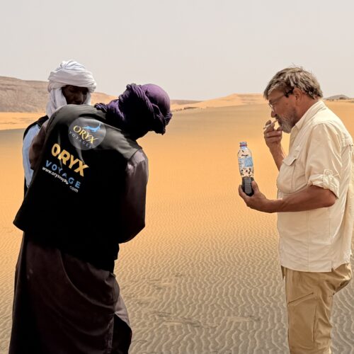 Golden dunes at Oued Adjelati in the Algerian Sahara