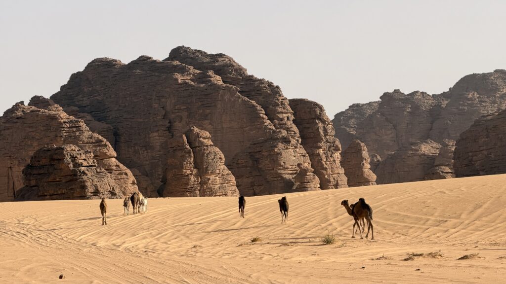 Private Djanet Algeria Tour in Tassili n’Ajjer National Park