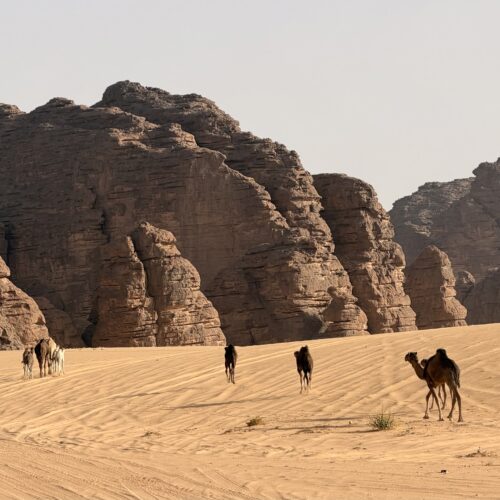 Private Djanet Algeria Tour in Tassili n’Ajjer National Park