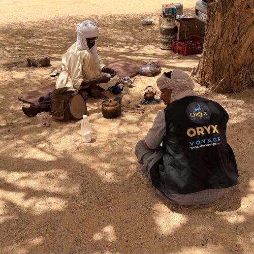 Oryx Touareg guides in Djanet Algeria