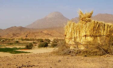 tefedest hoggar algeria