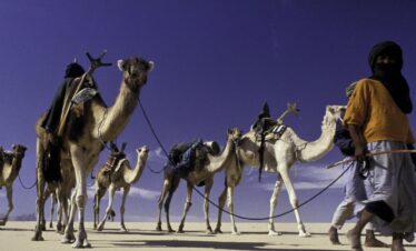 tefedest hoggar algeria