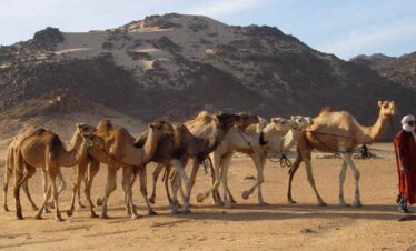 tefedest hoggar algeria