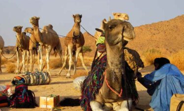 tefedest hoggar algeria
