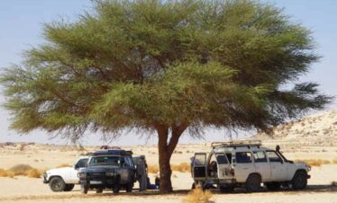 tefedest hoggar algeria