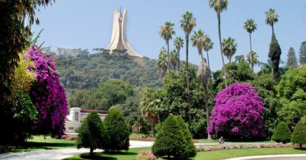 Algiers City Tour