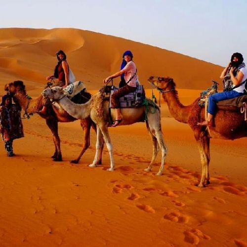 Camel Trekking Algeria