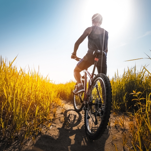 Cycling Algeria