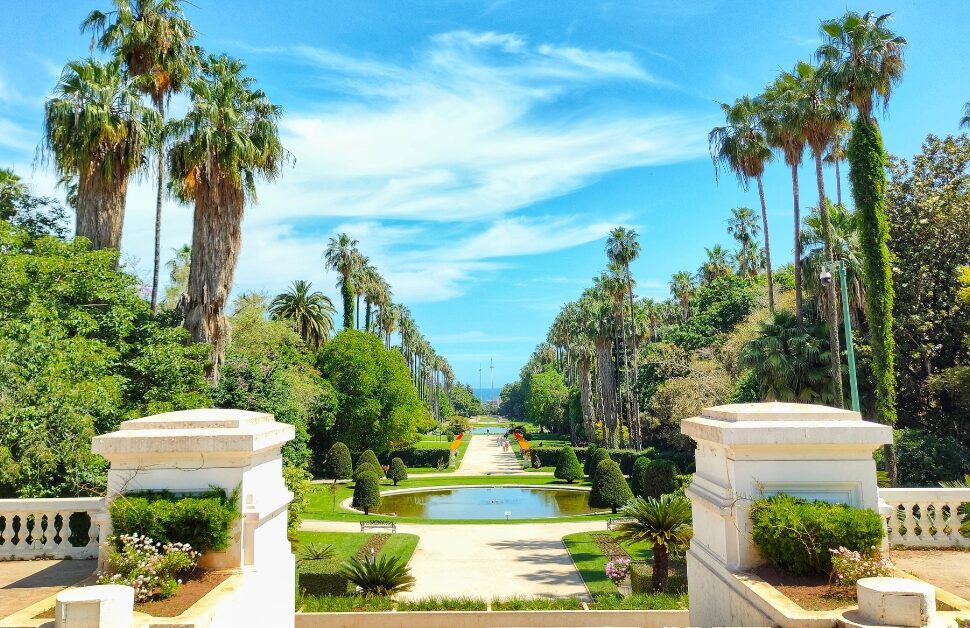 Hamma Botanical Garden (Jardin Botanique du Hamma)