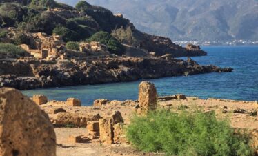 Tipaza